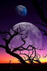 3D �������� ������ HD