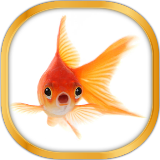 Ikan Mas Gambar Animasi gratis  Download Aplikasi Android 