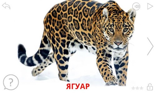 Android application Обитатели Африки и их звуки screenshort