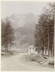Weg en straatgezicht in Vizzavona