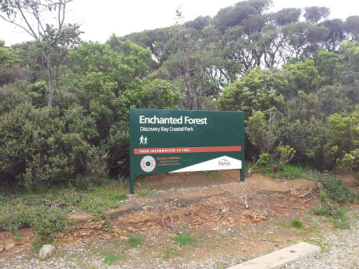 Enchanted Forest Park