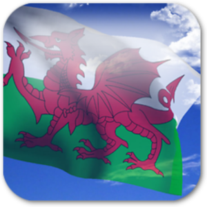 3D Welsh Flag logo