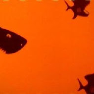 鯊魚咬吐司