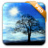Blue Sky Pro Live Wallpaper1.5.2