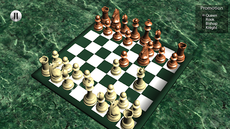 Chess Pro 3D poster 4