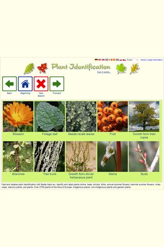 FlowerChecker, plant identify - Android Apps on Google Play