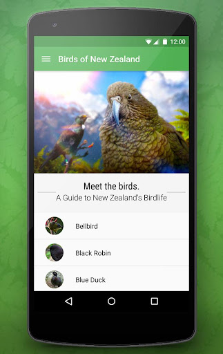 Birdlife of New Zealand