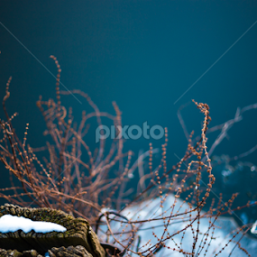 Berlin, At the river spree by Manuel Herrmann - City,  Street & Park Street Scenes