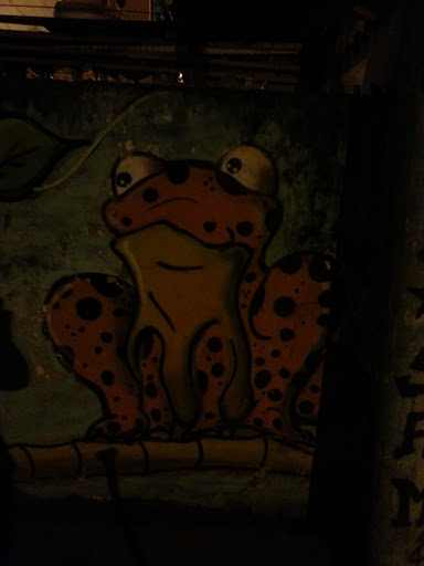 Arte Urbana Big Frog