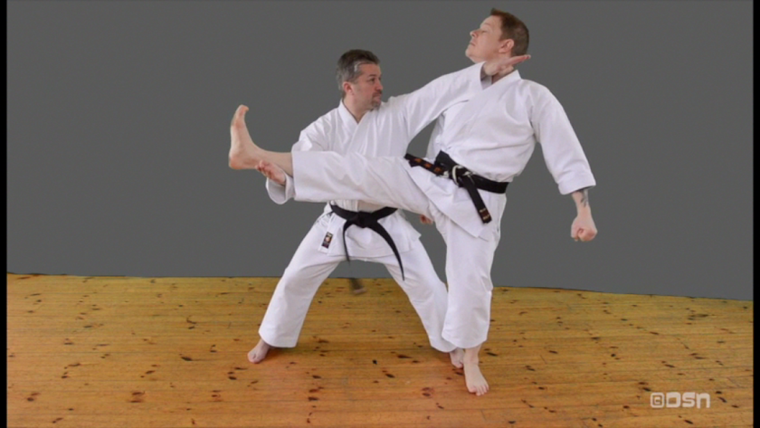 Shotokan Karate Kihon Kumite Screen 3