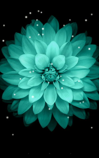 Galaxy Flowers Live Wallpaper