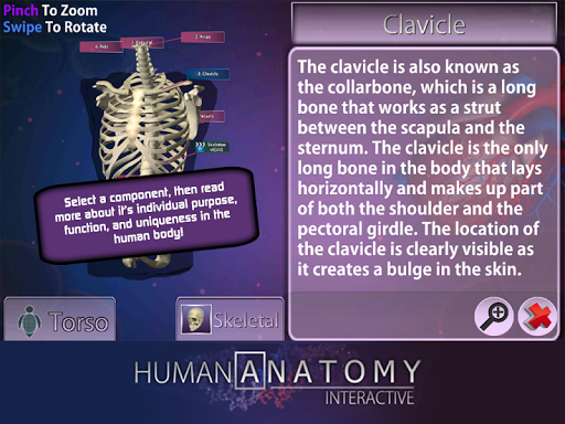 【免費教育App】PlayAR Human Anatomy Chart-APP點子