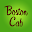 Boston Cab Download on Windows