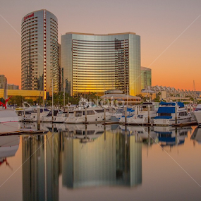 by Roman Gomez - Instagram & Mobile Instagram