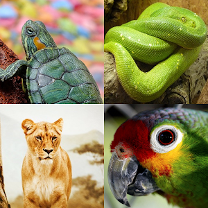 Tebak Gambar Hewan Hacks and cheats