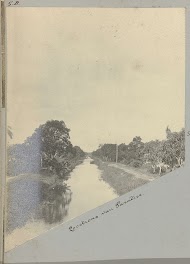 Loostrens van Paradise