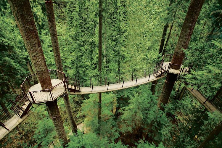 Treetops Adventure walkway at Capilano Suspension Bridge Park in Vancouver, British Columbia