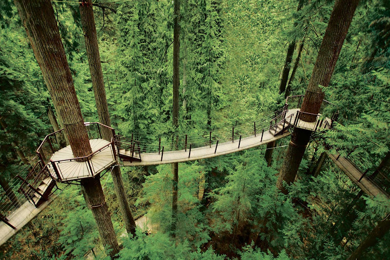 Capilano Suspension Bridge Park in Vancouver.