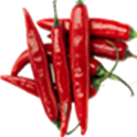 Marathi Zataka logo