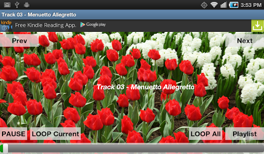 How to mod Mozart Symphony No. 40 lastet apk for pc