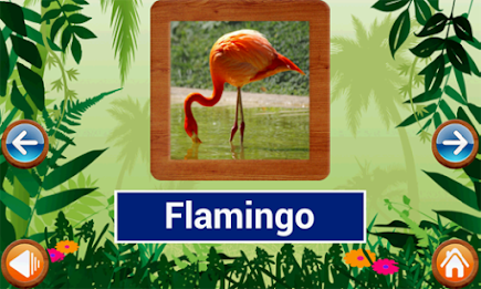 Animals and Birds by Intellisense poster 10