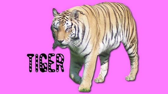 Lastest Toddler Animal Sounds - Roars! APK for Android
