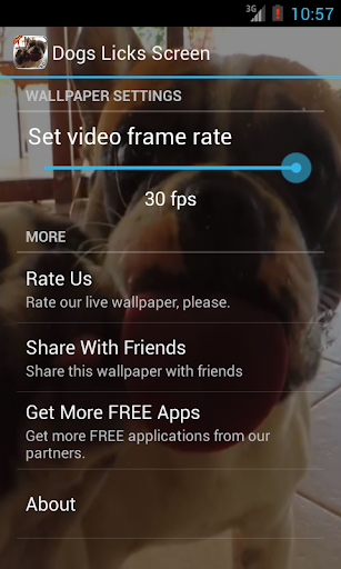【免費個人化App】Dog licking screen Video LWP-APP點子