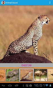 Animal Sound Screenshots 2