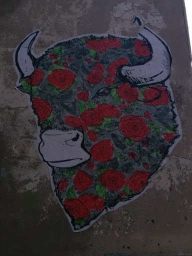 Bison Ou Rose 