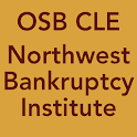 2013 NW Bankruptcy Institute logo