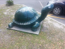 KOA Turtle