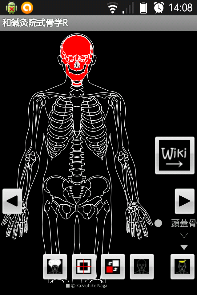 和鍼灸院式骨学R 2D Screen 2