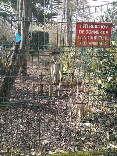 Non Je Ne Suis Pas Un Animal