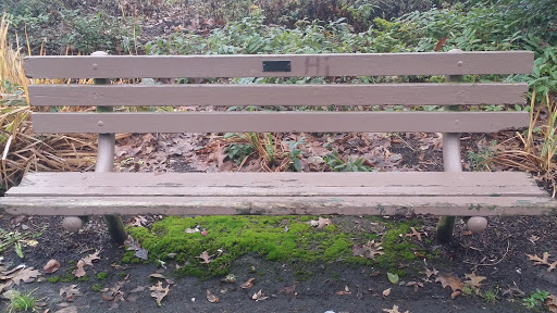Bench Donated By The Soroptimist Club