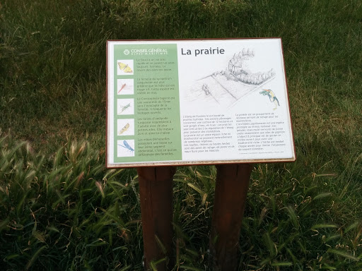 La Prairie De L'etang De Font Merle