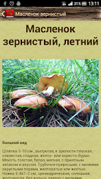 Nastolnaya mushroom book free poster 5