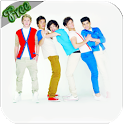One Direction Theme icon
