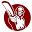 CricketHD.net Download on Windows