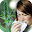 Ambrosia SCOUT Download on Windows