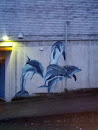 Dolphin Street Art