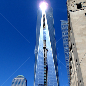 by Donald Henninger - Novices Only Objects & Still Life