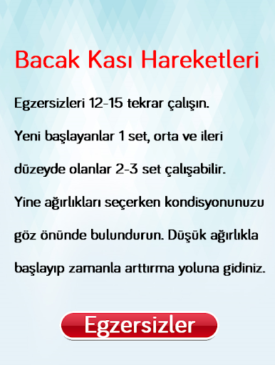 Bacak Kası Hareketleri