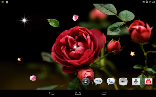 Spring Rose live wallpaper