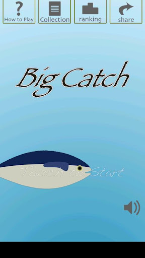 Big Catch