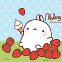 몰랑이 테마 logo