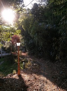 Download 부산대학교 정보컴퓨터공학부 접속 앱 PNUCSE APK for PC