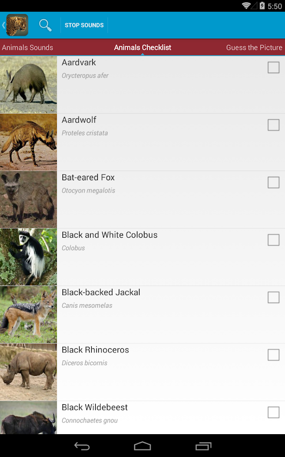 Safari Animal Sounds and List Android Apps on Google Play