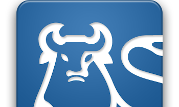 Ally financial institution mobile App evaluation