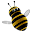 VCA audit Download on Windows