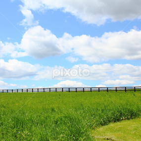 by Jerry Houle - Landscapes Prairies, Meadows & Fields